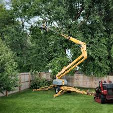 Trusted Mcadoo, PA Tree Removal and Landscaping Services Experts